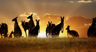 Australia1