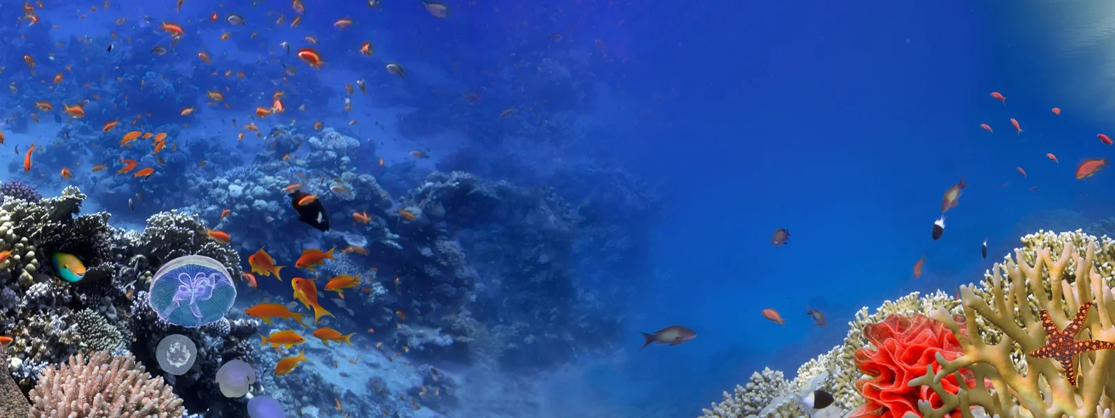 Hurghada