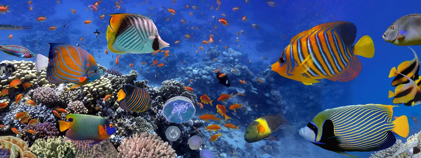 Sharm AlSheikh1