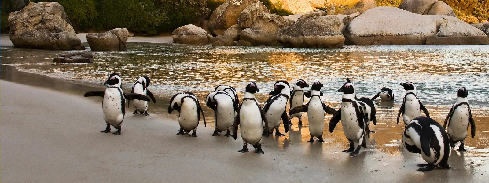 South Africa 2